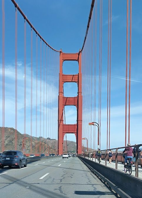 The North California and Oregon coasts.